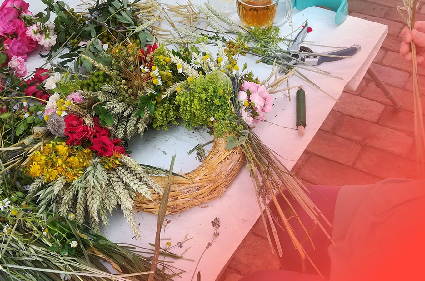 Blanka Dreiseitelová